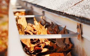 Broadley Common gutter cleaning companies